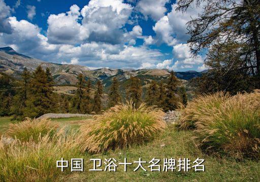 中國 衛(wèi)浴十大名牌排名
