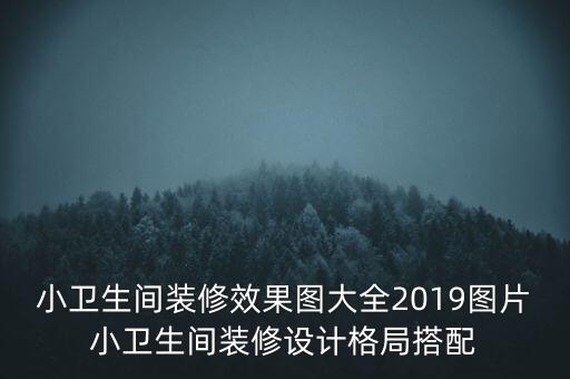 小衛(wèi)生間裝修效果圖大全2019圖片小衛(wèi)生間裝修設(shè)計(jì)格局搭配