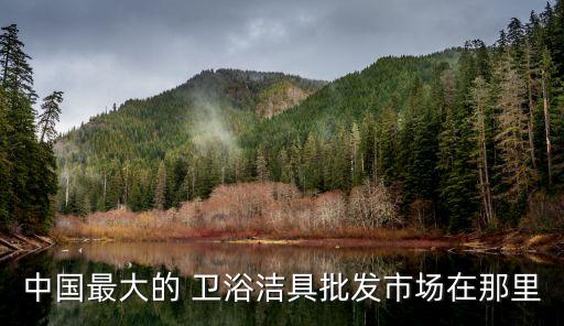 中國最大的 衛(wèi)浴潔具批發(fā)市場在那里