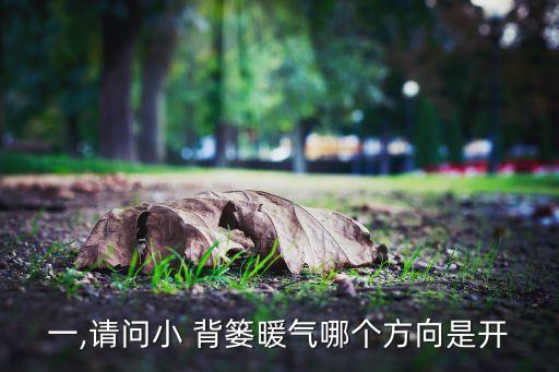 衛(wèi)浴背簍散熱器安裝圖片,背簍式散熱器安裝教程