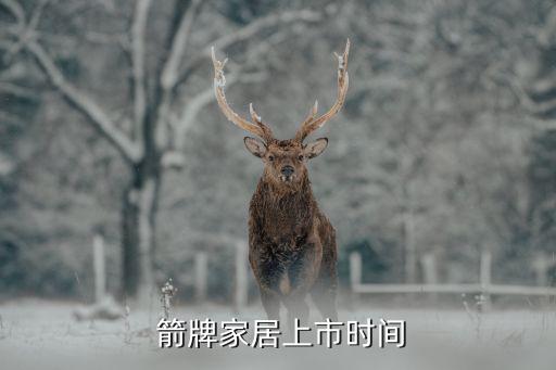  箭牌家居上市時(shí)間