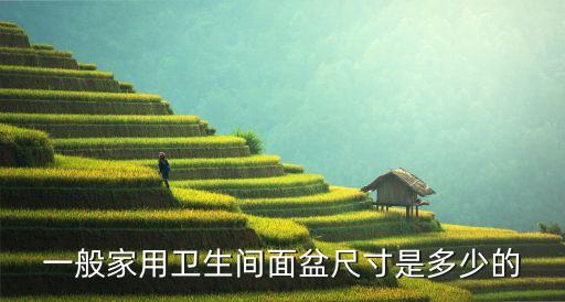 一般家用衛(wèi)生間面盆尺寸是多少的