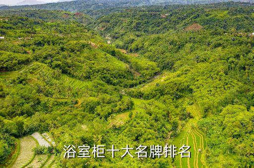 浴室柜十大名牌排名
