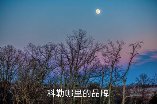 科勒哪里的品牌