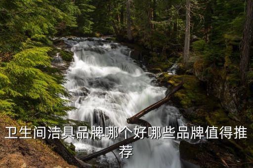 衛(wèi)生間潔具品牌哪個好哪些品牌值得推薦