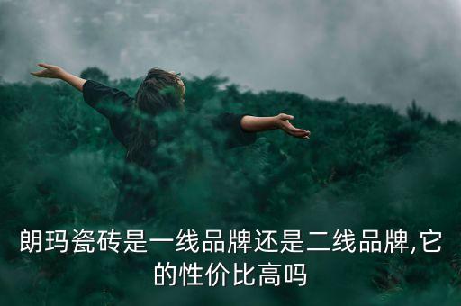 朗瑪瓷磚是一線品牌還是二線品牌,它的性價比高嗎