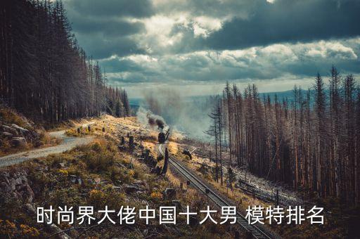 時尚界大佬中國十大男 模特排名