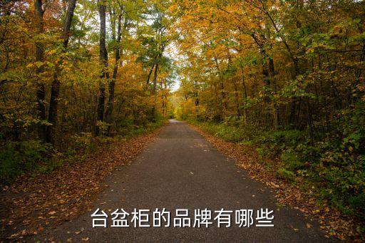 衛(wèi)浴洗臉盒組合品牌,洗臉衛(wèi)浴都有什么品牌