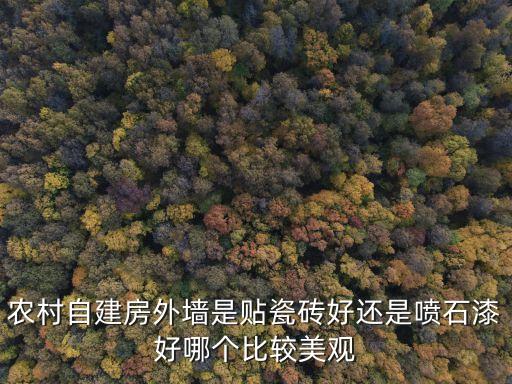 農(nóng)村自建房外墻是貼瓷磚好還是噴石漆好哪個(gè)比較美觀