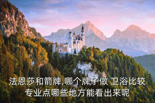法恩莎和箭牌,哪個(gè)牌子做 衛(wèi)浴比較專業(yè)點(diǎn)哪些地方能看出來(lái)呢