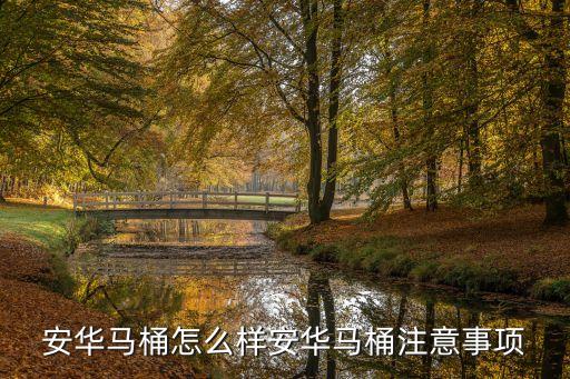 安華馬桶怎么樣安華馬桶注意事項