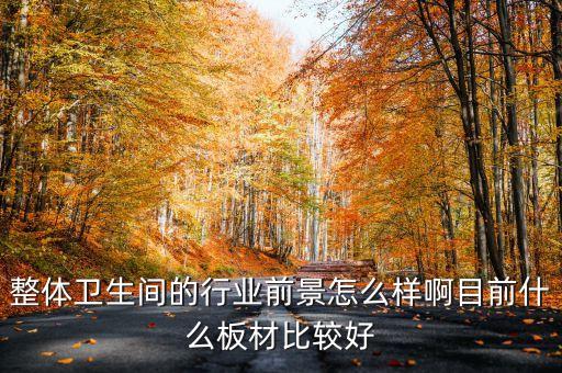 整體衛(wèi)生間的行業(yè)前景怎么樣啊目前什么板材比較好