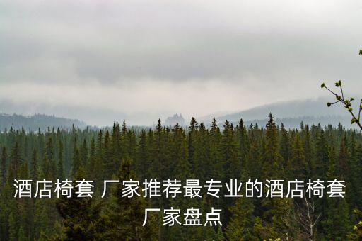 酒店椅套 廠家推薦最專業(yè)的酒店椅套 廠家盤點(diǎn)