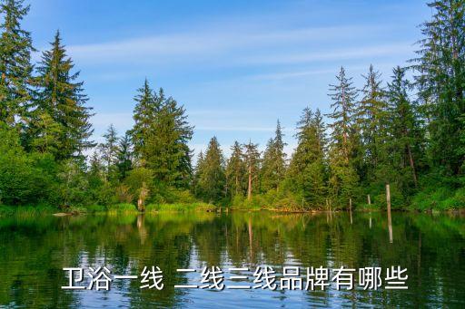  衛(wèi)浴一線 二線三線品牌有哪些