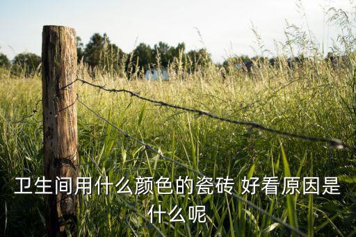 衛(wèi)生間用什么顏色的瓷磚 好看原因是什么呢