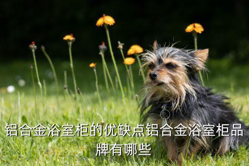鋁合金浴室柜的優(yōu)缺點鋁合金浴室柜品牌有哪些