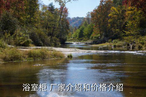 浴室柜 廠家介紹和價(jià)格介紹