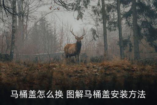 掛件衛(wèi)浴搖臂安裝圖解圖片