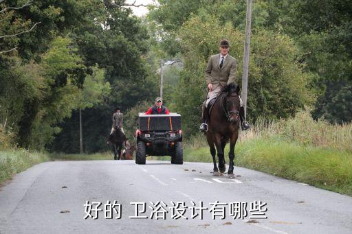 好的 衛(wèi)浴設(shè)計(jì)有哪些