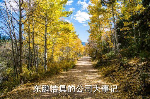  東鵬潔具的公司大事記