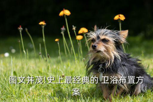 圖文并茂!史上最經(jīng)典的 衛(wèi)浴布置方案