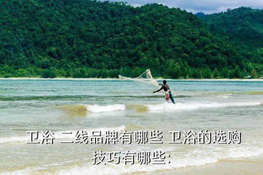  衛(wèi)浴 二線品牌有哪些 衛(wèi)浴的選購(gòu)技巧有哪些: