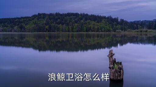浪鯨衛(wèi)浴品牌介紹語(yǔ)錄大全
