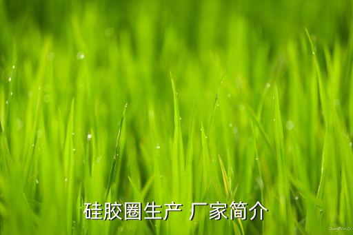 硅膠圈生產(chǎn) 廠家簡(jiǎn)介