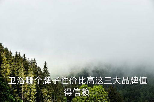  衛(wèi)浴哪個(gè)牌子性價(jià)比高這三大品牌值得信賴