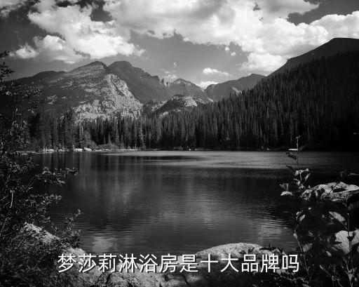 夢莎莉淋浴房是十大品牌嗎