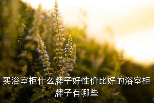常見衛(wèi)浴鏡柜包括哪些品牌