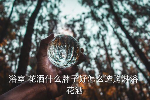 浴室 花灑什么牌子好怎么選購淋浴 花灑