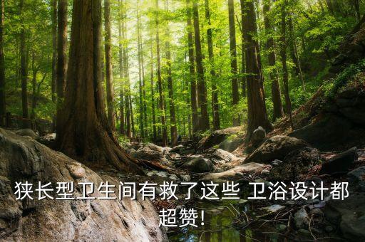 衛(wèi)浴隔斷造型圖片欣賞一下,客廳隔斷柜子圖片大全造型圖片欣賞