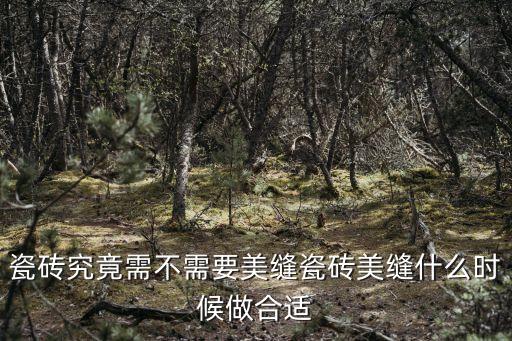 瓷磚究竟需不需要美縫瓷磚美縫什么時(shí)候做合適