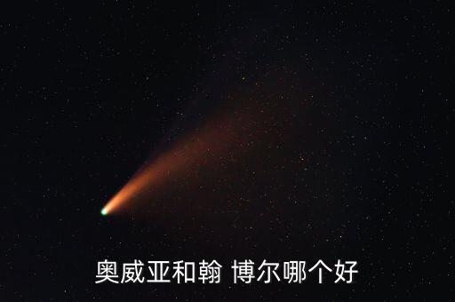奧威亞和翰 博爾哪個好
