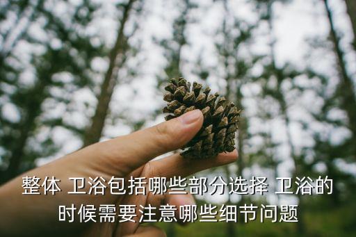 衛(wèi)浴包裝尺寸圖解圖片