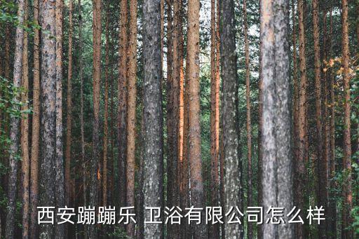  西安蹦蹦樂(lè) 衛(wèi)浴有限公司怎么樣