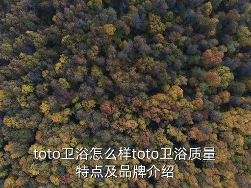 toto衛(wèi)浴怎么樣toto衛(wèi)浴質(zhì)量特點(diǎn)及品牌介紹