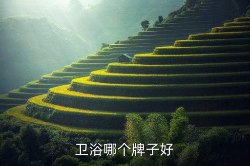 衛(wèi)浴哪個牌子好