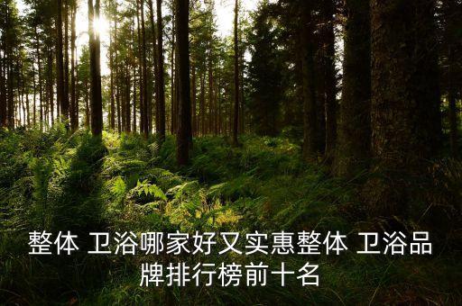 無錫衛(wèi)浴品牌策劃公司裝修