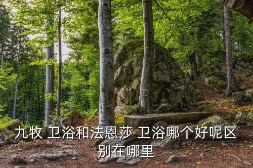 九牧 衛(wèi)浴和法恩莎 衛(wèi)浴哪個好呢區(qū)別在哪里