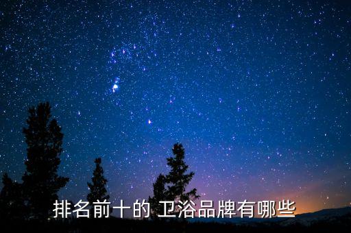 排名前十的 衛(wèi)浴品牌有哪些