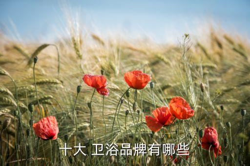衛(wèi)浴最高端的品牌,中端衛(wèi)浴品牌有哪些