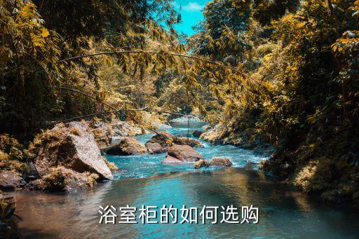 建材市場衛(wèi)浴宣傳視頻圖片