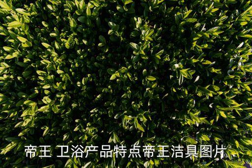 帝王 衛(wèi)浴產(chǎn)品特點(diǎn)帝王潔具圖片