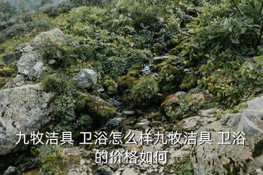 九牧潔具 衛(wèi)浴怎么樣九牧潔具 衛(wèi)浴的價格如何
