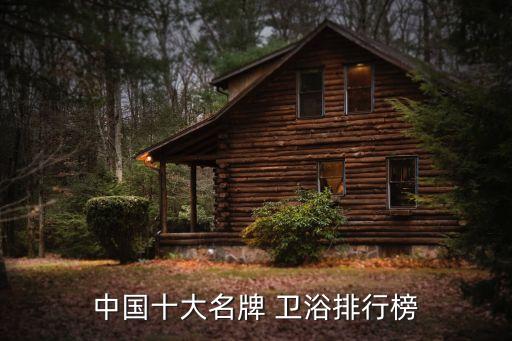 中國十大名牌 衛(wèi)浴排行榜