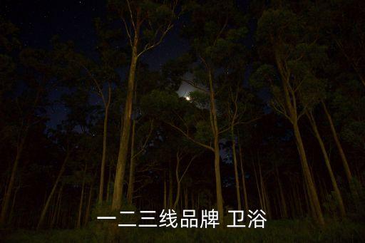 一二三線品牌 衛(wèi)浴