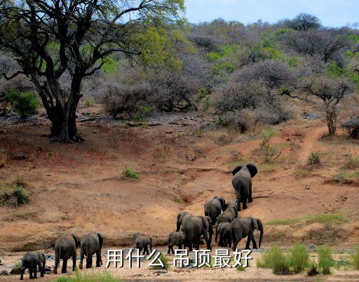 衛(wèi)浴吊頂龍骨圖片大全圖,石膏板吊頂龍骨圖片大全