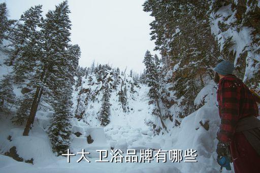 十大 衛(wèi)浴品牌有哪些